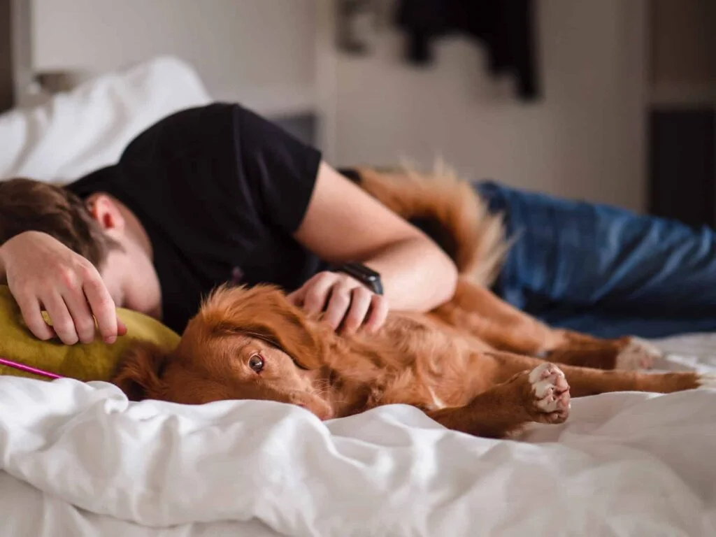 A man resting on a bed with his dog