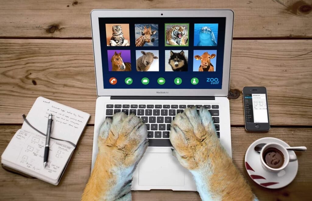 A furry animal joining a video call with other animals